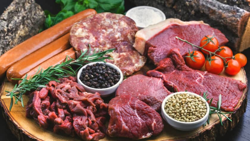 The Benefits of a Meat-Only Diet